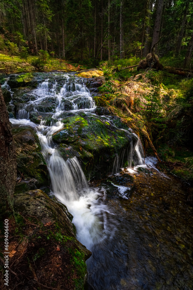 Small Arbersee on the slope of Mount Arber in the Bavarian Forest. Bavaria. Germany.