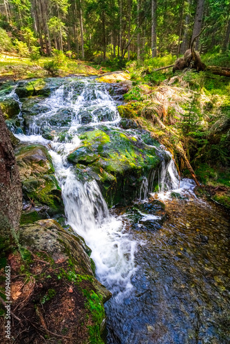 Small Arbersee on the slope of Mount Arber in the Bavarian Forest. Bavaria. Germany.
