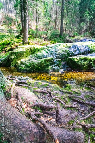 Small Arbersee on the slope of Mount Arber in the Bavarian Forest. Bavaria. Germany.
