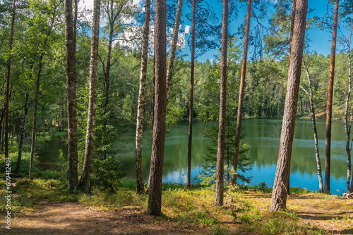 Forest lake Velnezers or Chertoks (Latvian: Čertoks) in Latgale region, Latvia photo