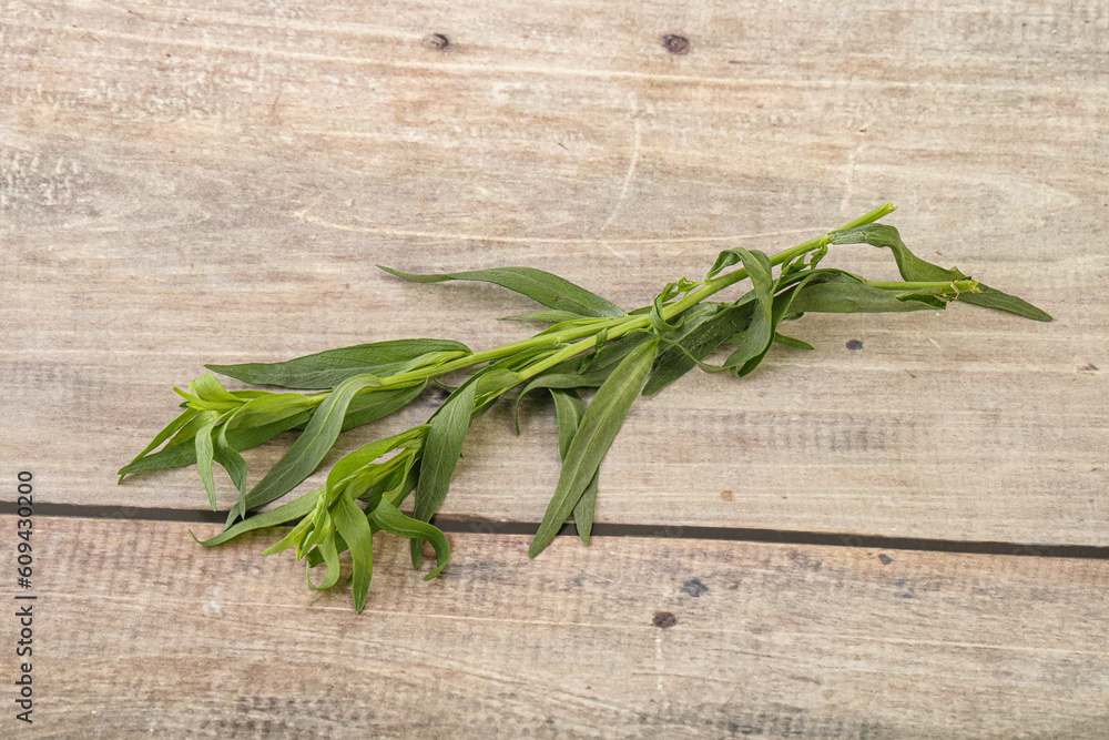 Green tarragon herb spice for cooking Green tarragon herb spice for cooking