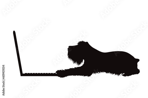 Vector silhouette of dog with laptop on white balground.