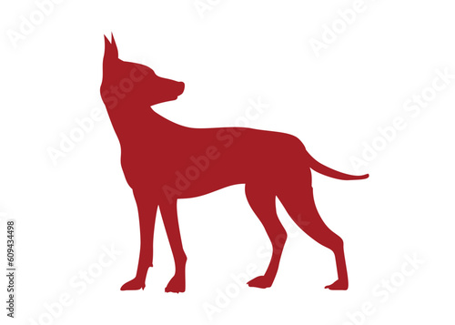 American naked Terrier Side view of an American hairless terrier dog. Silhouette of a standing dog