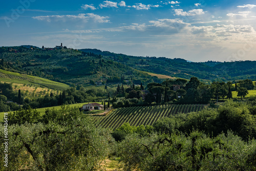 Vineyards and villas in the Italian countryside in Tuscany near Florence