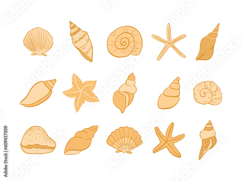 set of marine life conch, sea shell, starfish