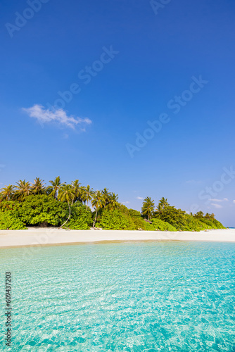 Tropical paradise island with idyllic lagoon. Tranquil exotic honeymoon travel destination of Indian ocean. Palm trees white sand serene sea sky shore. Relaxing summer beach landscape. Peaceful nature
