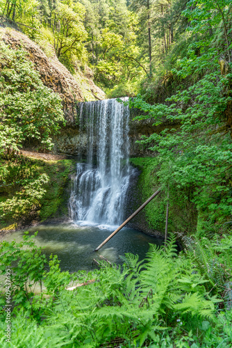 Lower South Falls Scene 7