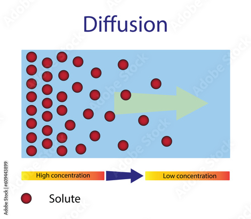 illustration of chemistry, Diffusion process, Diffusion is movement of molecules and atoms from a region of higher concentration to a region of lower concentration