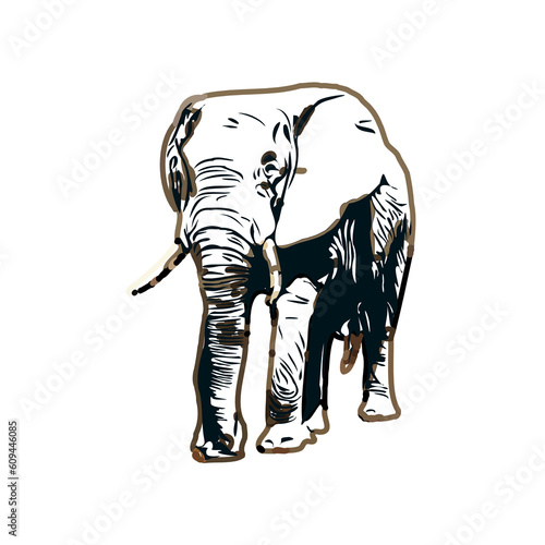 sketch of an elephant with transparent background