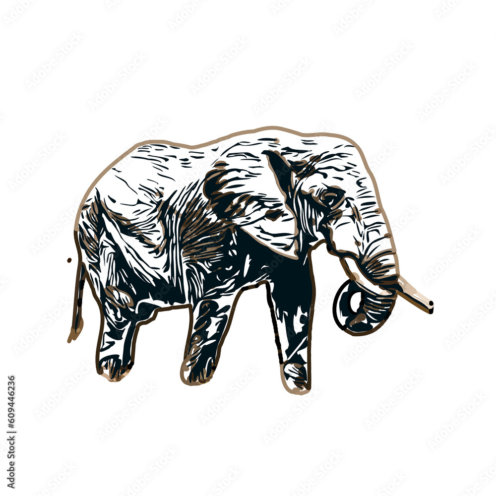 Fototapeta premium sketch of an elephant with transparent background
