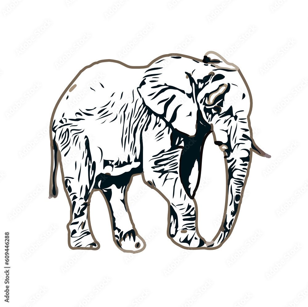 sketch of an elephant with transparent background sketch of an elephant with transparent background
