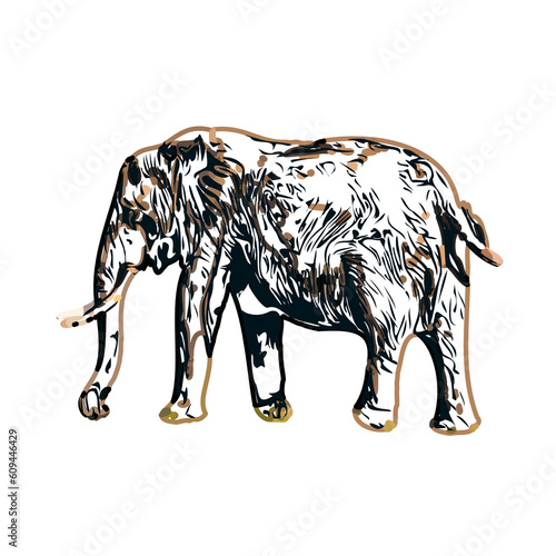 sketch of an elephant with transparent background © Fatikh