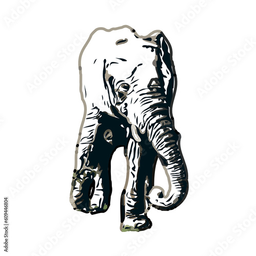 sketch of an elephant with transparent background