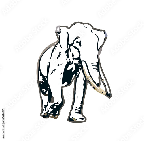 sketch of an elephant with transparent background