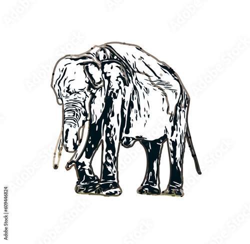 sketch of an elephant with transparent background