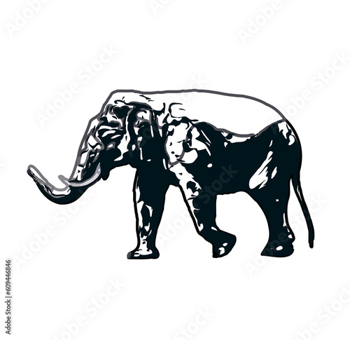 sketch of an elephant with transparent background