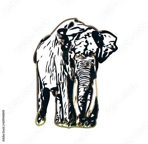 sketch of an elephant with transparent background © Fatikh