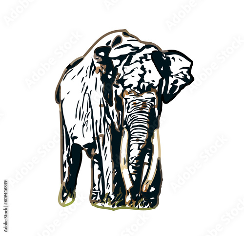 sketch of an elephant with transparent background