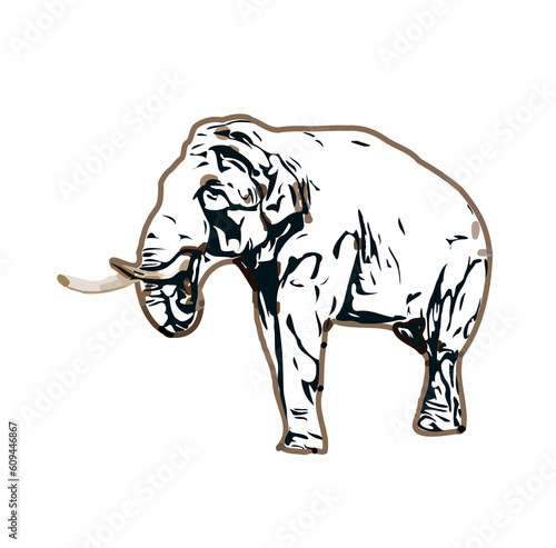 sketch of an elephant with transparent background