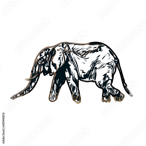 sketch of an elephant with transparent background