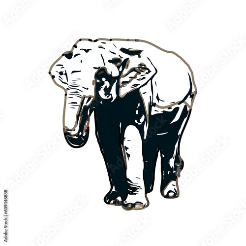 sketch of an elephant with transparent background