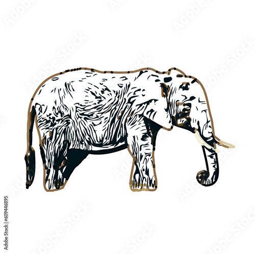 sketch of an elephant with transparent background