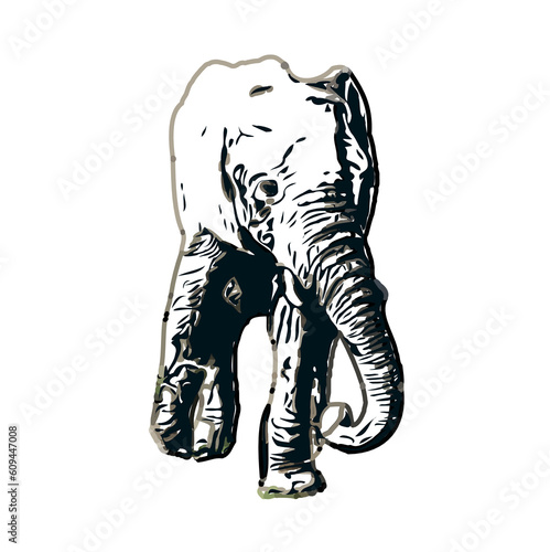 sketch of an elephant with transparent background