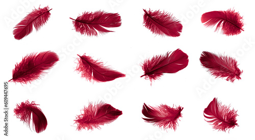 Foto red feathers of a goose on a transparent isolated background