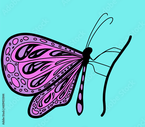butterfly