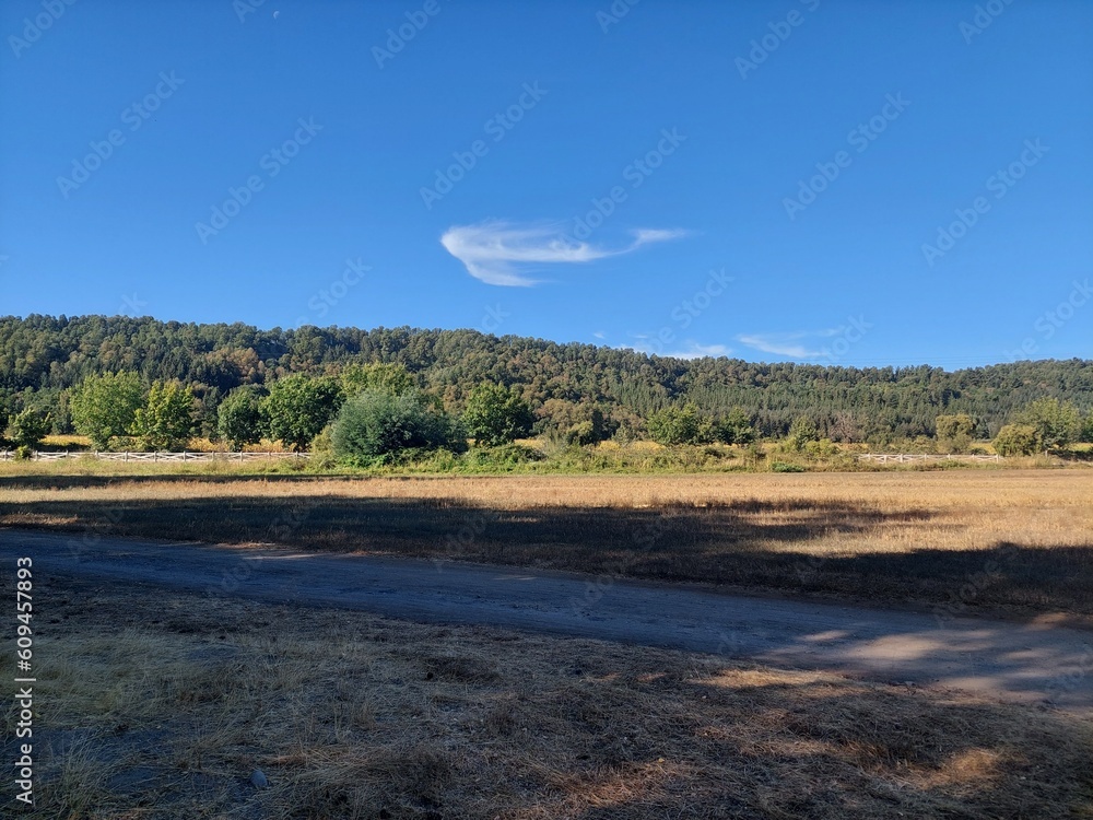 sunset landscape, whale shaped cloud, paisaje al atardecer, nuve en forma de ballena sunset landscape, whale shaped cloud, paisaje al atardecer, nuve en forma de ballena