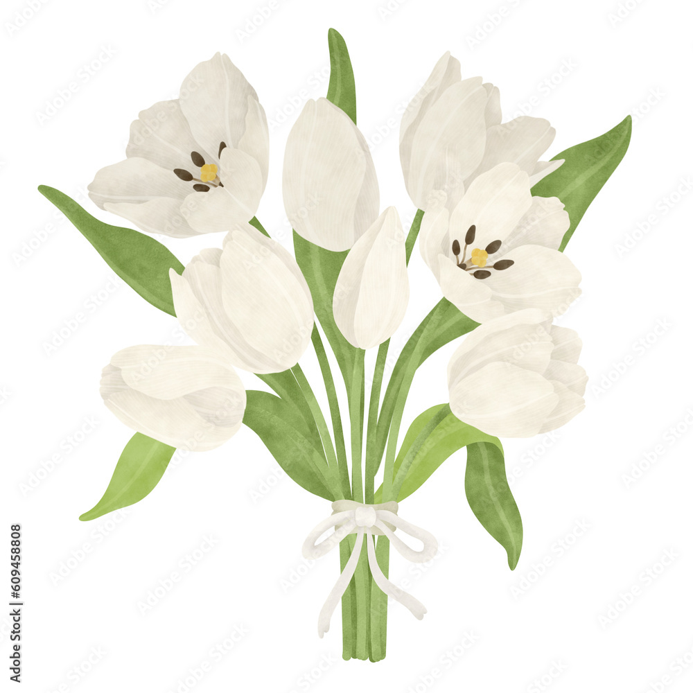 Fototapeta premium White tulip watercolor illustration