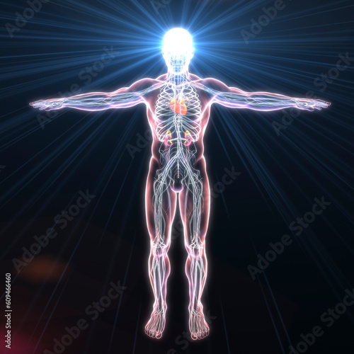 Electrome, the sum total of electrical currents that exist within the human body, conceptual 3D illustration