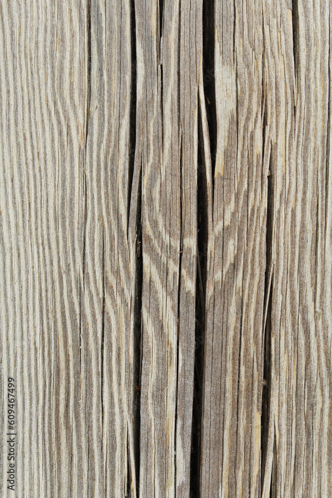 texture of wood texture of wood