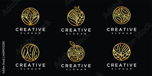 .Vector leaf logo collection in circle style.