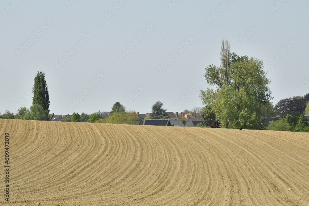 Vaste champ après ratissage sous un ciel bleu dans la campagne environnante de Braine-le-Comte 