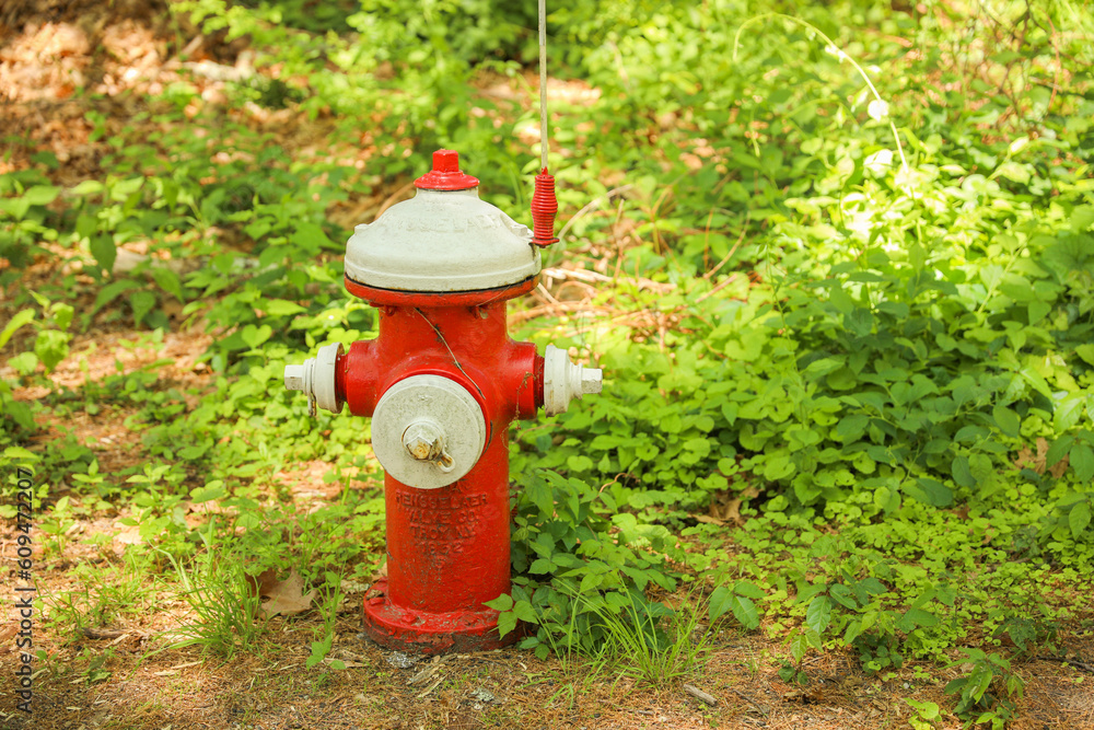 Fire hydrants symbolize safety, emergency response, and firefighting