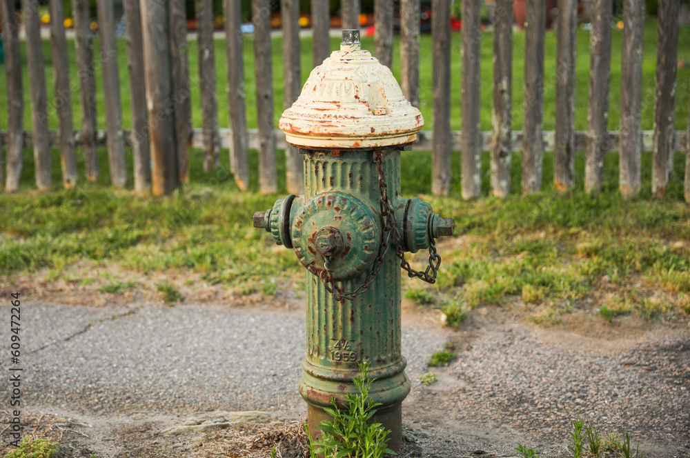 Fototapeta premium Fire hydrants symbolize safety, emergency response, and firefighting. They represent preparedness, the presence of water supply for firefighting purposes, and the importance of public safety