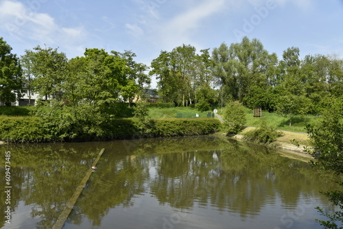 Cuadro en lienzo Végétation sauvage autour d'un bassin d'orage au parc des Etangs Joseph Martel à