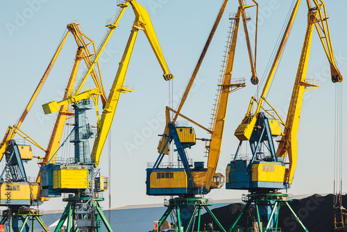 Wallpaper Mural Larger cranes in the port, cranes load bulk materials. The work of cranes in the seaport Torontodigital.ca