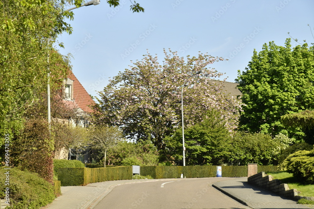 L'une des rues avec tournant dans la zone résidentielle de Kessel-Lo à Louvain 