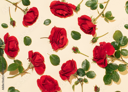 Red roses on beige background. Love concept. Flat lay. Copy space. Minimal nature concept.