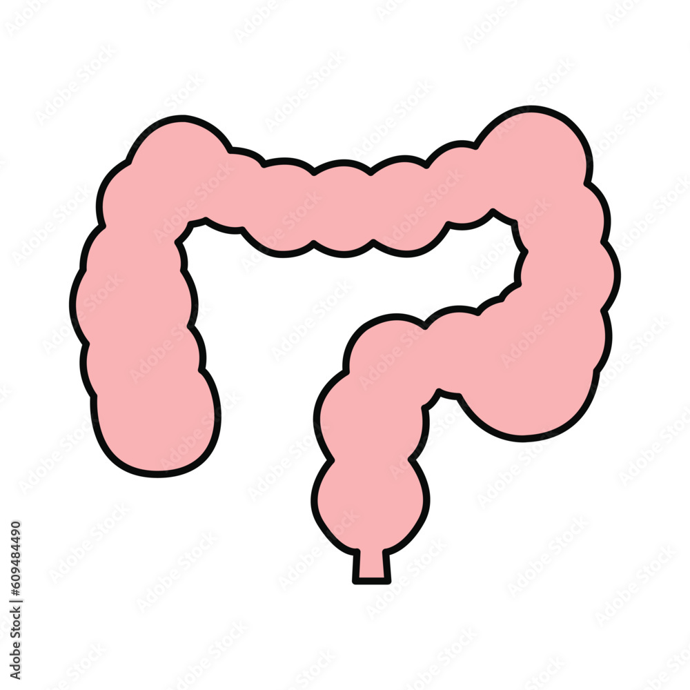 Intestine, human Intestine, body parts Intestine icon Intestine, human Intestine, body parts Intestine icon