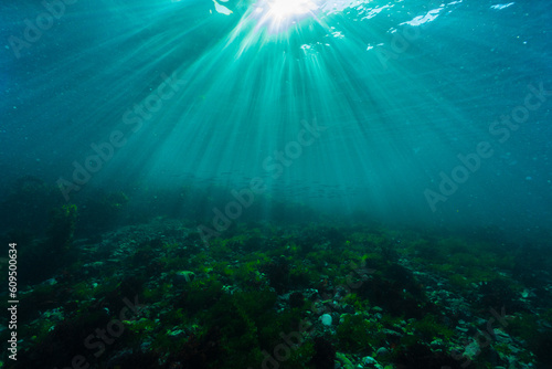 Sunlit underwater seascape