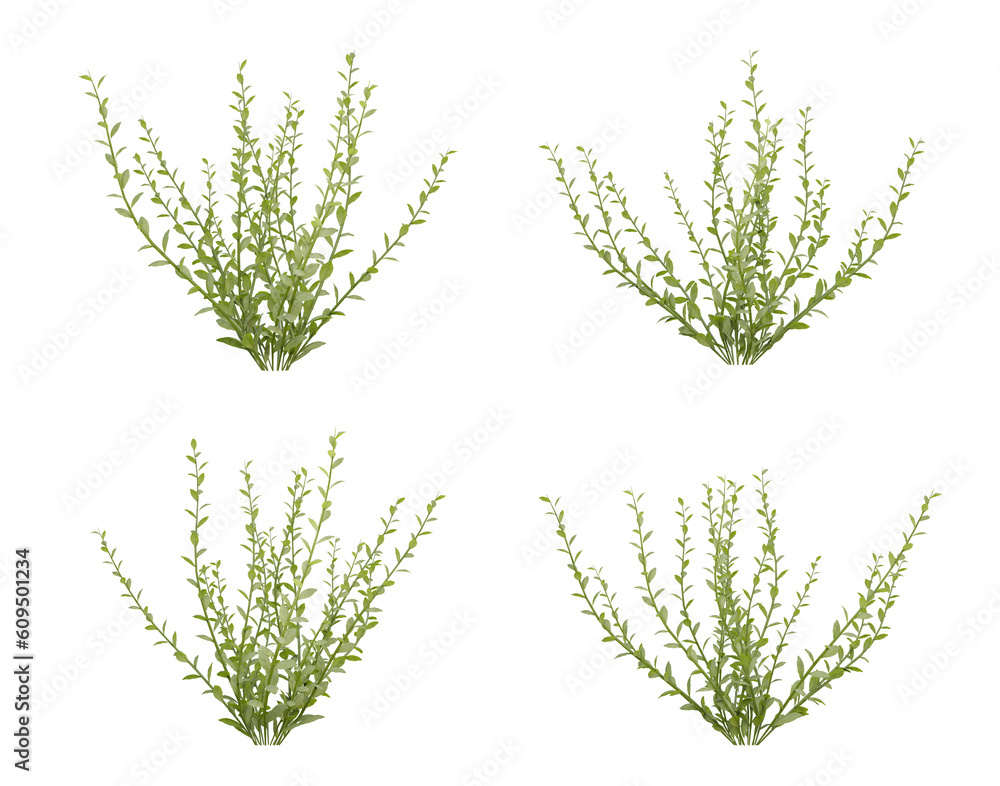 Plant on transparent background, nature meadow, 3d render illustration. Plant on transparent background, nature meadow, 3d render illustration.