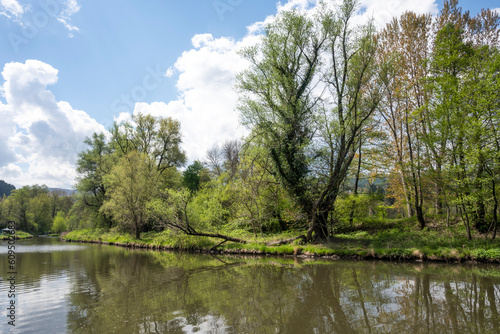 Spring Landscape of Pancharevo lake, Bulgaria