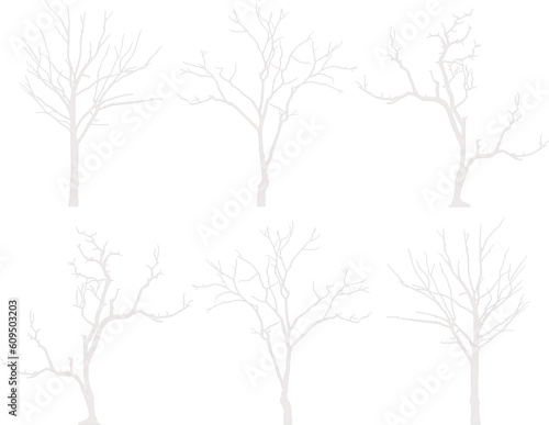 ector illustration sketch of a tree with branches without leaves in autumn