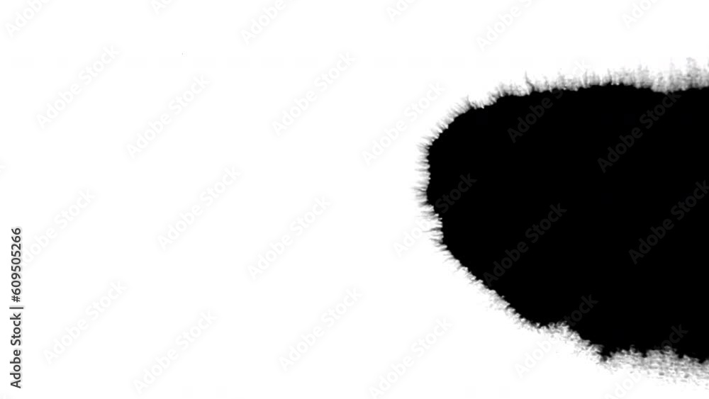 Black ink artistic flow splatter spots spills white paper beautiful reveal dripping streaks spread fluid ink alpha matte isolated watercolor ink drops transition	
