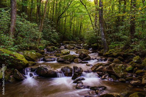 Smooth River at Jones Gap State Park  South Carolina