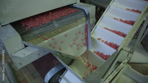 static medium shot of finished caramel candies falling on a conveyor belt in a candy factory