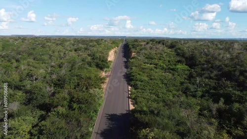 Charming newly paved road in the savannah of northeastern Brazil, the sertão